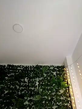 RosseCollins online show from November 9, 2025, 12:20 am