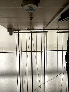 Sallem Pink online show from January 16, 2026, 11:25 am