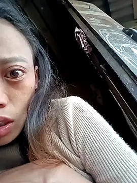 optra34 online show from November 27, 2025, 11:40 pm