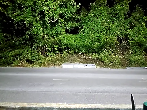 sloppytopkins online show from September 15, 2025, 6:35 am