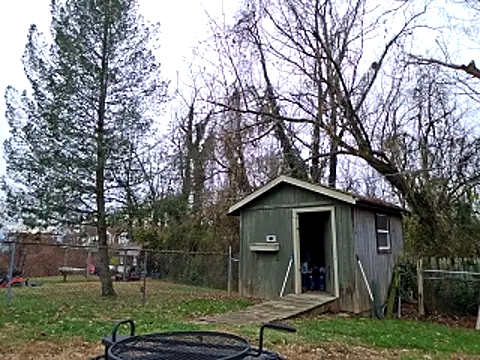 sloppytopkins online show from November 21, 2025, 3:33 pm