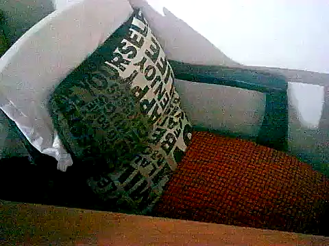 sacptjock83 online show from December 17, 2025, 8:59 pm