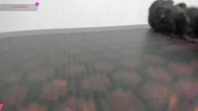 FluffyMelons online show from April 1, 2026, 11:02 pm