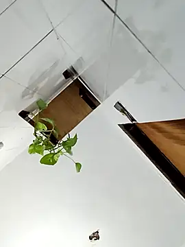 Snapshot of Rodrigo99_9 chatting on April 10, 2026, 4:12 pm Rodrigo99 9 online show from April 10, 2026, 4:12 pm