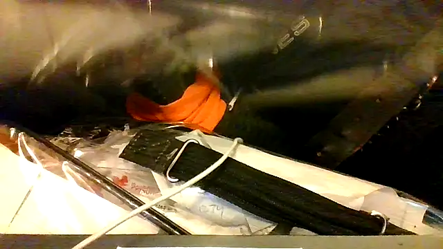 BBCGottii online show from March 17, 2026, 5:33 am