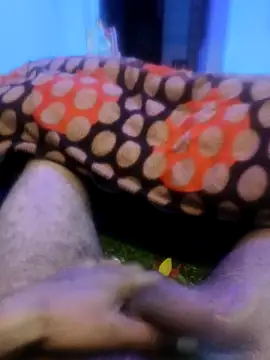 Snapshot of pppppp7811 chatting on February 14, 2026, 5:43 pm pppppp7811 online show from February 14, 2026, 5:43 pm