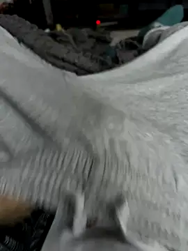 Frankieyyy1 online show from November 28, 2025, 7:44 am