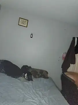 Bulbasaurisme online show from October 3, 2025, 8:39 pm