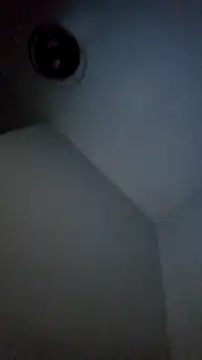 Bulbasaurisme online show from October 19, 2025, 7:09 am