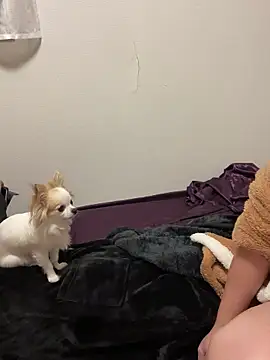 h415a812 online show from November 4, 2025, 7:35 pm