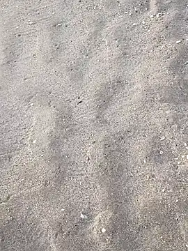 sarahkat86 online show from November 5, 2025, 12:16 pm