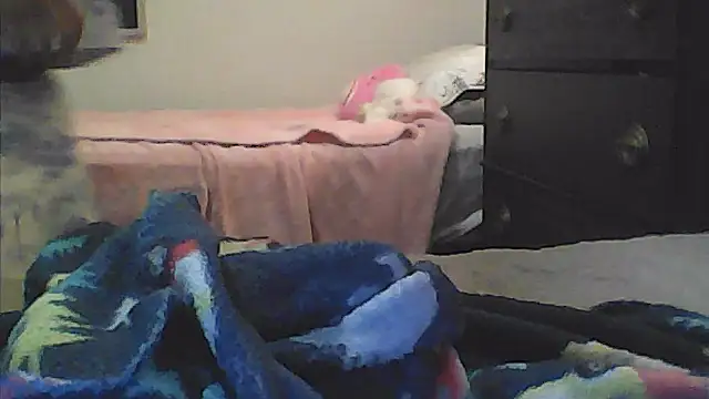 sarahkat86 online show from January 10, 2026, 2:35 am