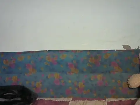 Baby doll9090 online show from January 14, 2026, 5:07 pm