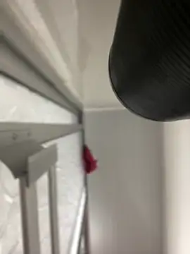 JuanitaMore01 online show from October 7, 2025, 8:28 pm