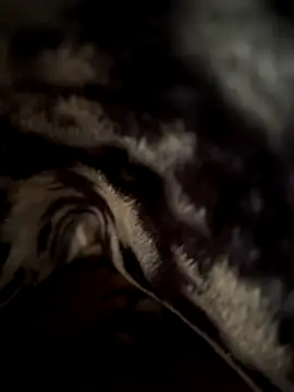 jackyw online show from November 21, 2025, 6:12 am