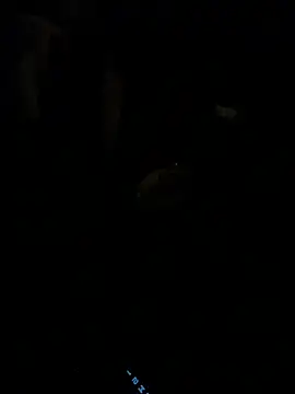 HorneyCowboy154 online show from February 25, 2026, 4:11 am