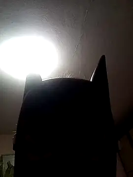 AmandaXXX98 online show from November 17, 2025, 2:56 pm