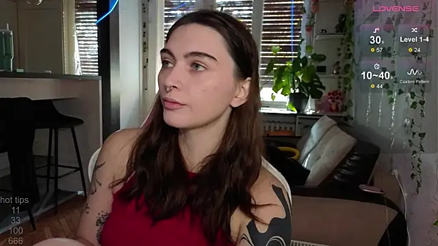 dorfmatratze   online show from November 19, 2025, 8:14 am