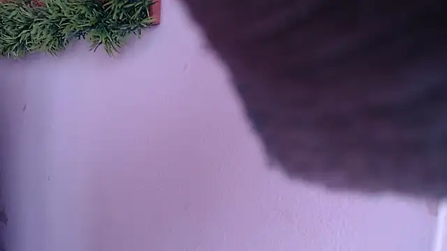 IVONNE COLLINS33 online show from September 24, 2025, 1:47 pm