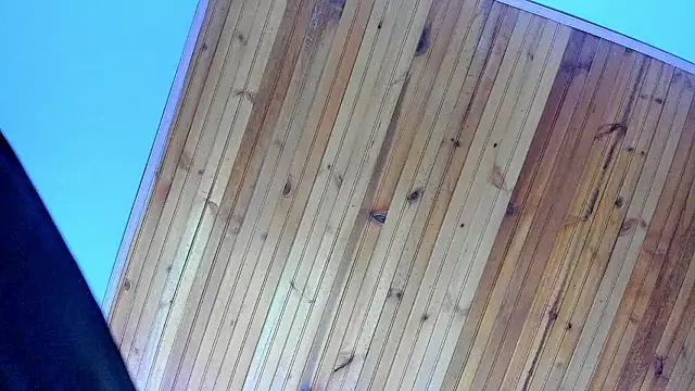 Angel kanon online show from February 28, 2026, 12:28 pm