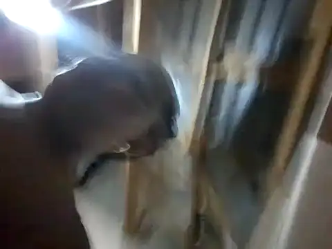 Snapshot of BigAssjuicy26 chatting on October 27, 2025, 10:14 pm BigAssjuicy26 online show from October 27, 2025, 10:14 pm