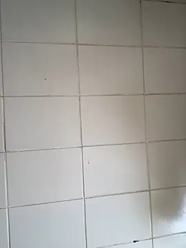 Novinhodotadomg online show from November 6, 2025, 1:45 pm