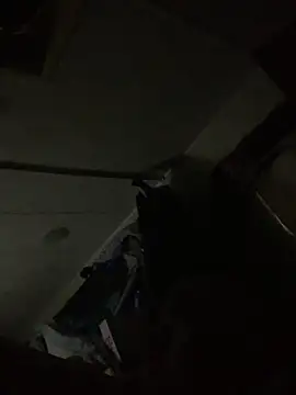 Snapshot of shakeweight chatting on October 3, 2025, 10:56 am shakeweight online show from October 3, 2025, 10:56 am