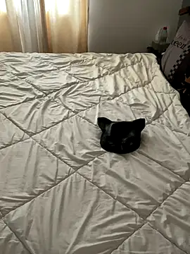 Snapshot of LesAmantsAE2 chatting on October 11, 2025, 8:13 am LesAmantsAE2 online show from October 11, 2025, 8:13 am