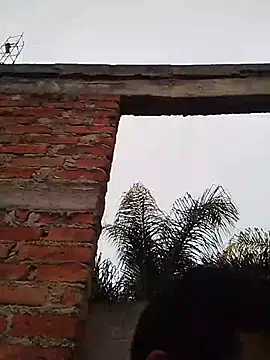 TragicAirplane168 online show from December 14, 2025, 11:31 pm