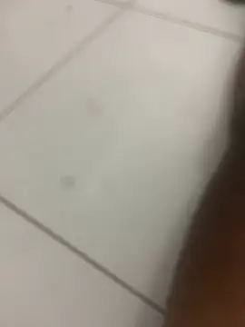 Snapshot of novin21rj chatting on April 7, 2026, 12:55 am novin21rj online show from April 7, 2026, 12:55 am