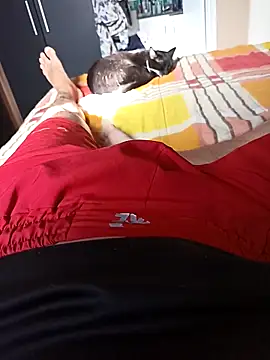 comobucetinhas online show from November 14, 2025, 7:34 pm