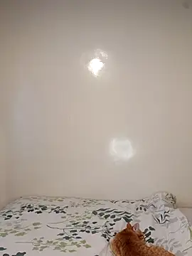 Nedambale online show from February 3, 2026, 10:53 am