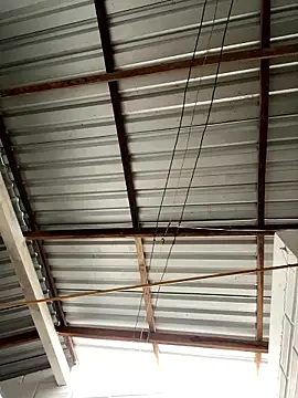 Axel-Mejia online show from January 15, 2026, 12:32 pm