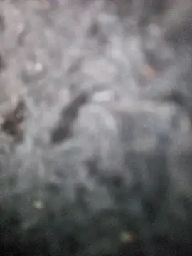 Snapshot of Romance32 chatting on November 3, 2025, 7:31 am Romance32 online show from November 3, 2025, 7:31 am