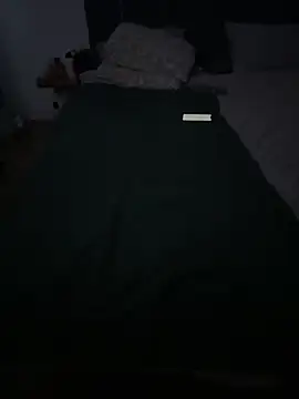 Snapshot of Jaropol chatting on February 20, 2026, 3:56 pm Jaropol online show from February 20, 2026, 3:56 pm