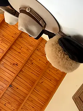 venuslibre online show from October 13, 2025, 11:21 am