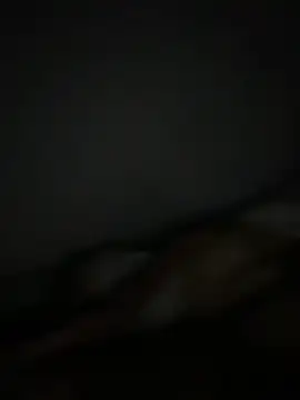 Snapshot of Smallboybigworld chatting on February 11, 2026, 9:42 pm Smallboybigworld online show from February 11, 2026, 9:42 pm