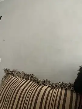 NoddingScorpion online show from November 10, 2025, 8:35 am