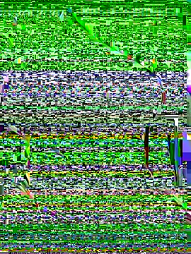 Snapshot of OrchidBae chatting on October 8, 2025, 12:25 pm OrchidBae online show from October 8, 2025, 12:25 pm