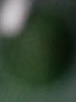 Snapshot of Punam_ji chatting on October 28, 2025, 7:12 am Punam ji online show from October 28, 2025, 7:12 am