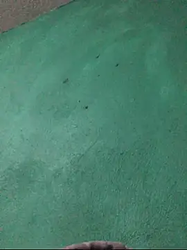 carlo20n online show from October 15, 2025, 11:49 pm