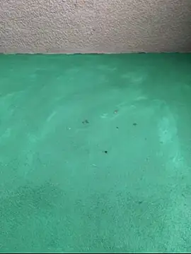 carlo20n online show from October 16, 2025, 7:15 pm