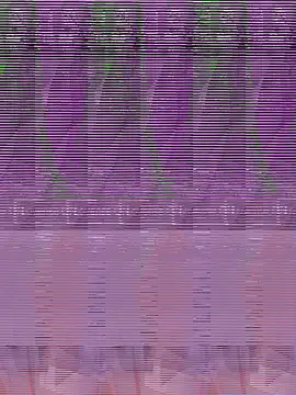 its Surya BBC online show from December 4, 2025, 7:44 pm