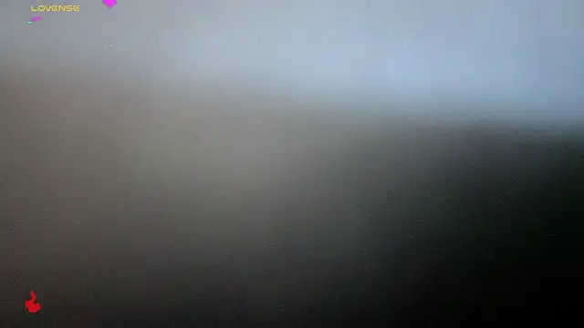 Alexander ferre online show from February 25, 2026, 1:32 pm