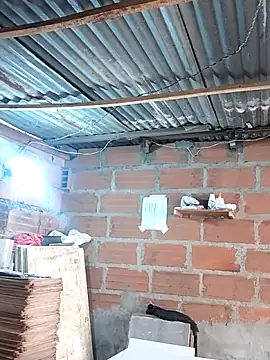 Snapshot of hoteder chatting on December 17, 2025, 1:28 pm hoteder online show from December 17, 2025, 1:28 pm