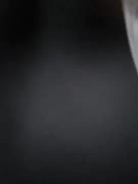 Lizbeth Rouse online show from December 17, 2025, 11:05 am