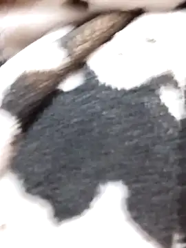 Laxmi 89 online show from November 27, 2025, 3:52 am