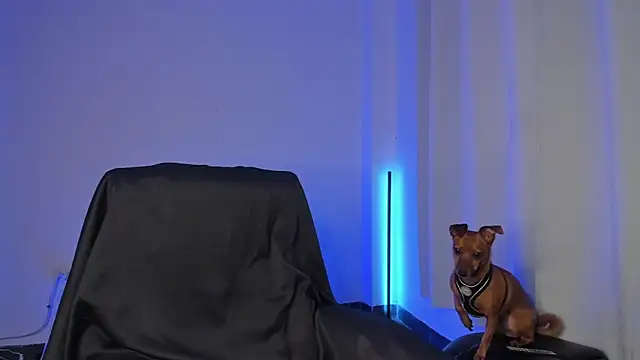 nathan blake online show from December 19, 2025, 7:32 pm