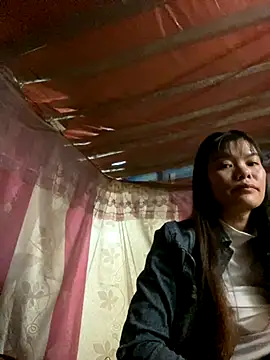 PhanHaa online show from November 6, 2025, 12:17 pm