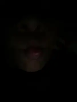 Luna025 online show from February 24, 2026, 4:43 am